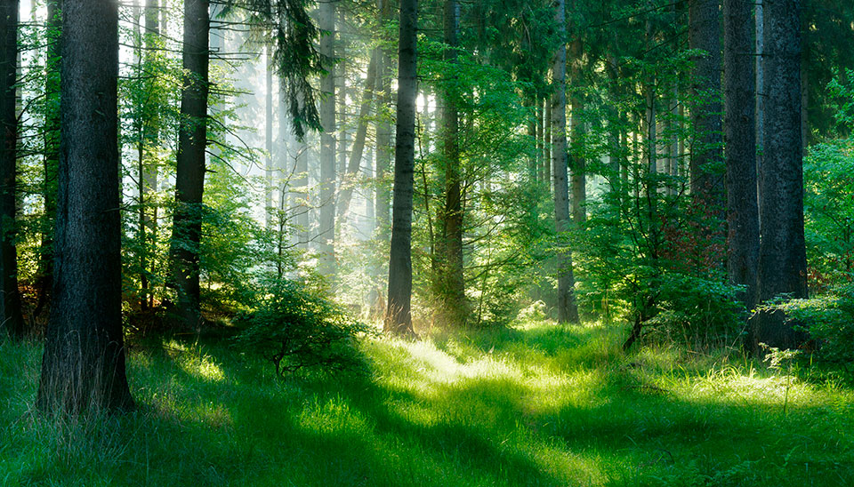 iberchem achieves zero waste certification