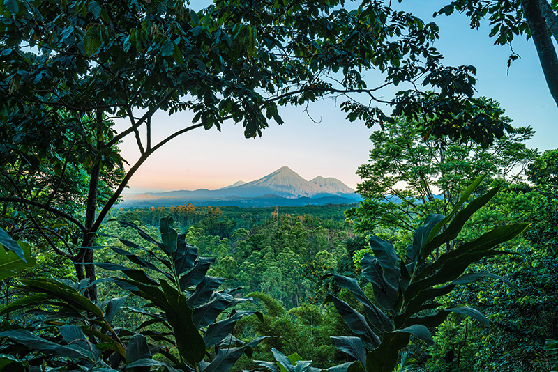 Natural Landscape in Latin America