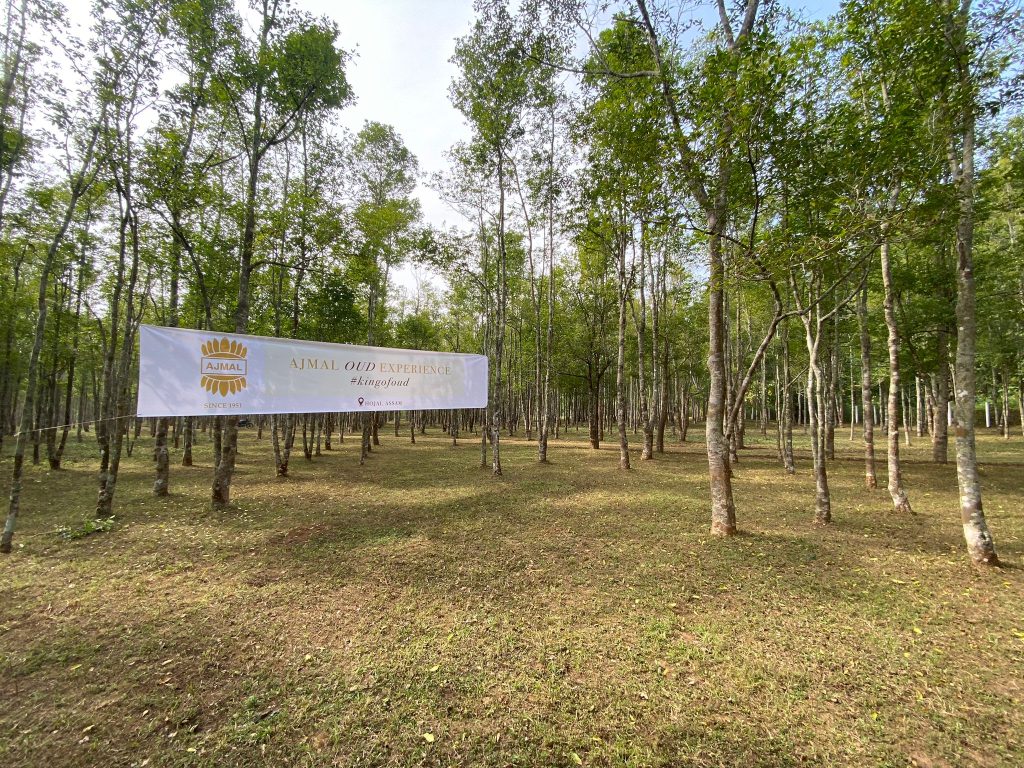 La industria de la madera de Oud